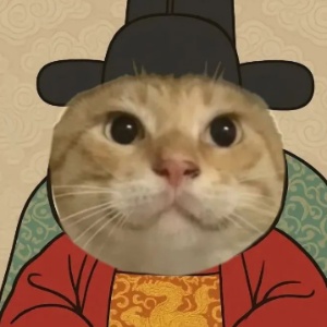 圆头耄耋的头像