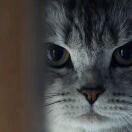 泰山-同志的头像